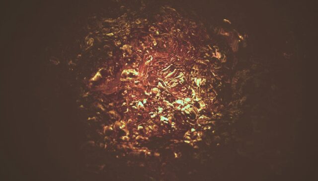 The temazcal is one of the most immersive experiences I have ever had in my life.