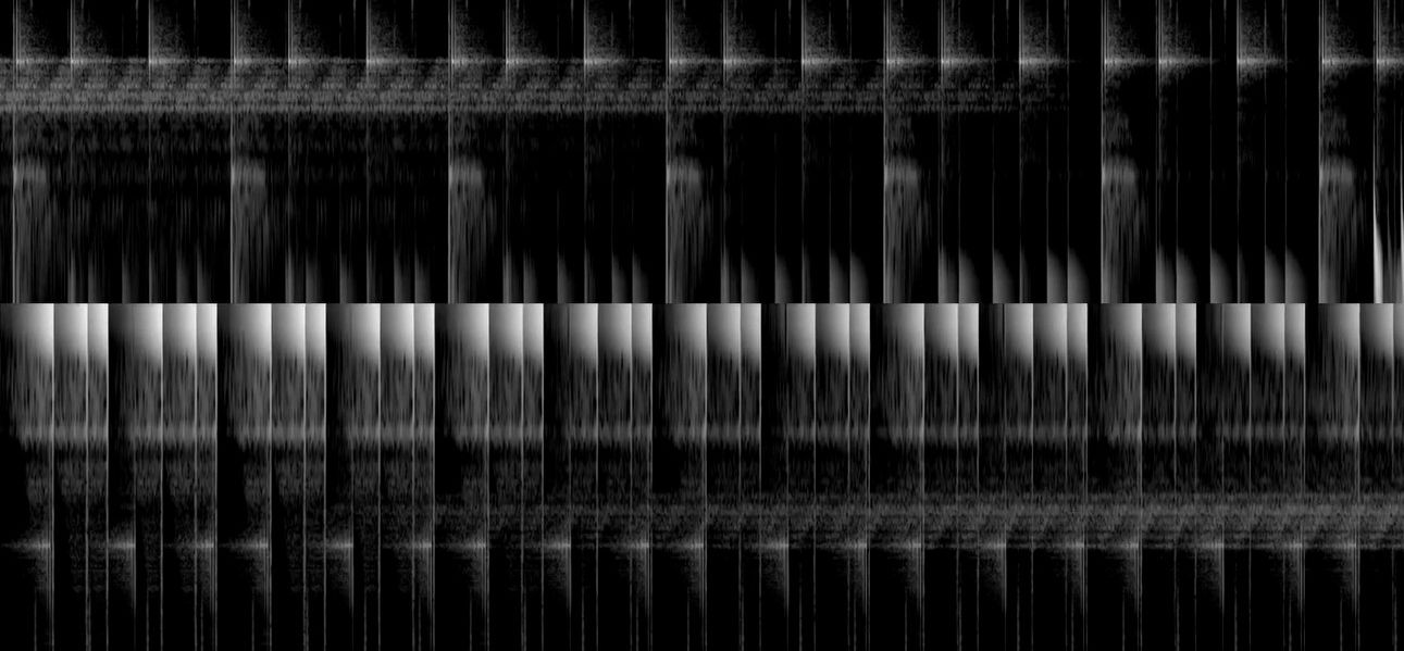 TEMAZCAL Sol Rezza 2020
