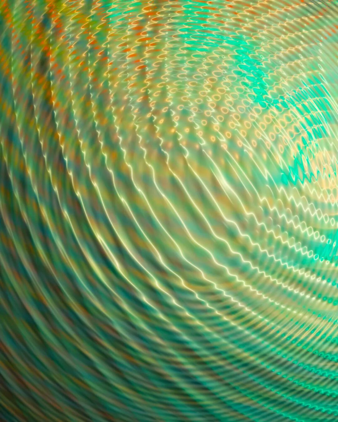 Zachary Lieberman Ripple Study 4-2024